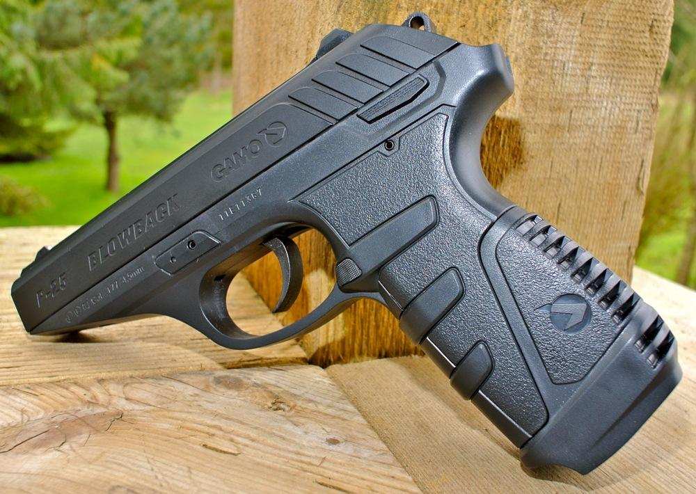 Blog: Are You Ready to Play with this Gamo's New P25 Airpistol? - Scopes and Barrels