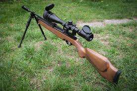 Blog: Artemis CR600W CO2 Airgun - Scopes and Barrels
