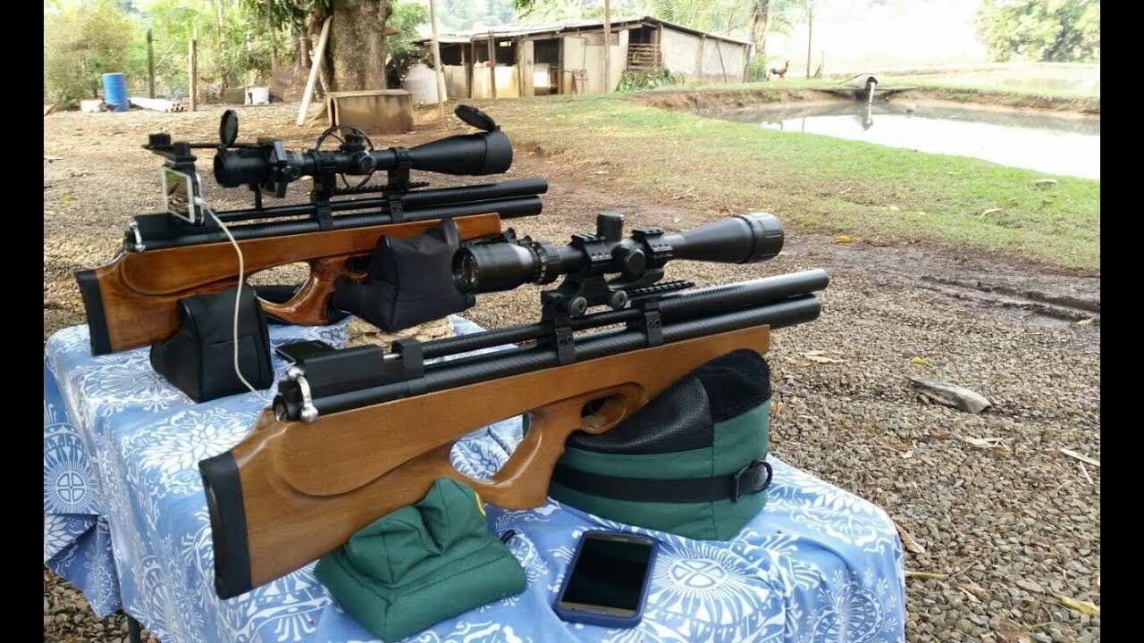 Blog: ARTEMIS P10 or Artemis M16?  Our Comparison..... Your Choice! (Roman) - Scopes and Barrels