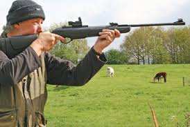 Artemis SR1000S Vs Gamo Shadow 1000 - Scopes and Barrels