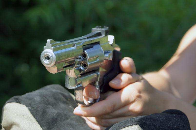 One Can Not Simply Overlook the All New Legends S40 & S25 CO2 Revolvers. - Scopes and Barrels