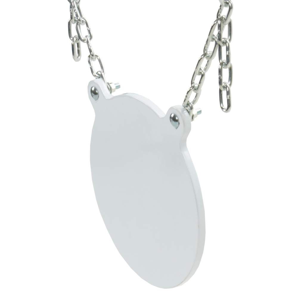 Allen Steel Gong Target 4