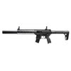 Sig Sauer MCX Gen 2 | Semi Auto