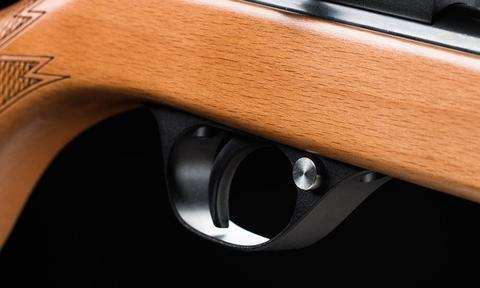 ARTEMIS AIRGUN MOD. CR600W (.22CAL) + ARTEMIS PELLETS +Artemis CO2 CAPSULES 12G Pack OF 5 + TARGET SHEETS
