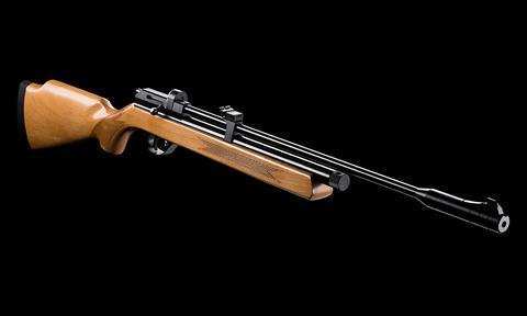ARTEMIS AIRGUN MOD. CR600W (.22CAL) + ARTEMIS PELLETS +Artemis CO2 CAPSULES 12G Pack OF 5 + TARGET SHEETS