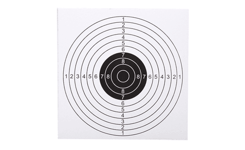 ARTEMIS PCP AIRGUN MOD. P-10 + SNP Pump + Scope 3-9x40 +H&N Sport Pellets + Target Sheets