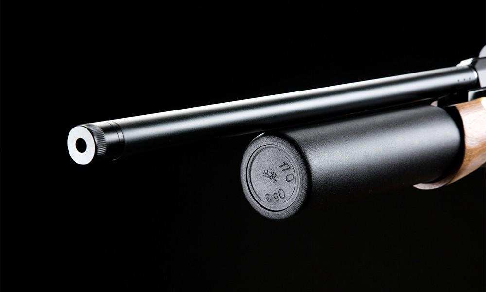 Artemis PCP Airgun M16-A Limited Edition