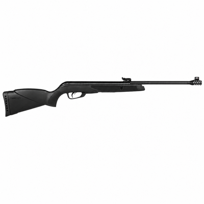 Gamo Black Bear | 5.5mm
