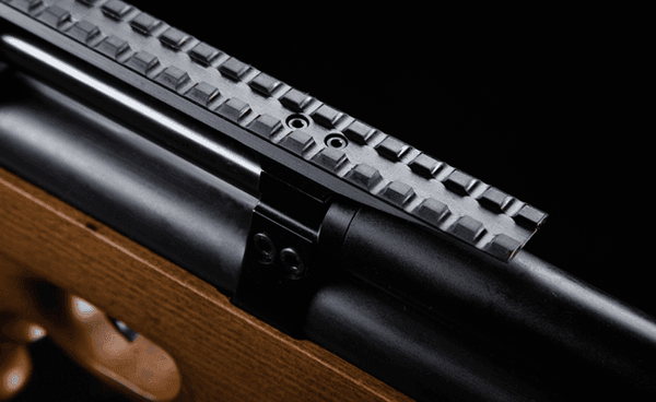 ARTEMIS PCP AIRGUN MOD. P-10 + SNP Pump + Scope 3-9x40 +H&N Sport Pellets + Target Sheets 