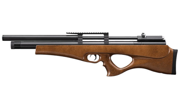 ARTEMIS PCP AIRGUN MOD. P-10 + SNP Pump + Scope 3-9x40 +H&N Sport Pellets + Target Sheets 